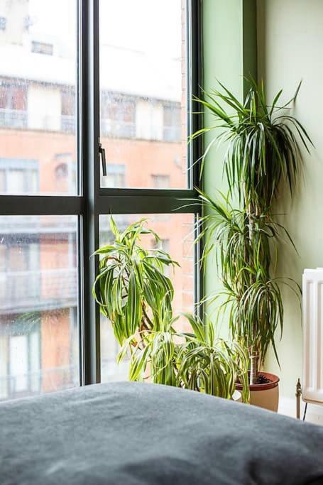 Spacious Belfast City Centre Duplex Apartment Exterior foto